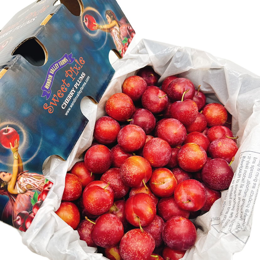 WVF-Sweet-Pixie-Cherry-Plums-Gift-Box---2kg-1