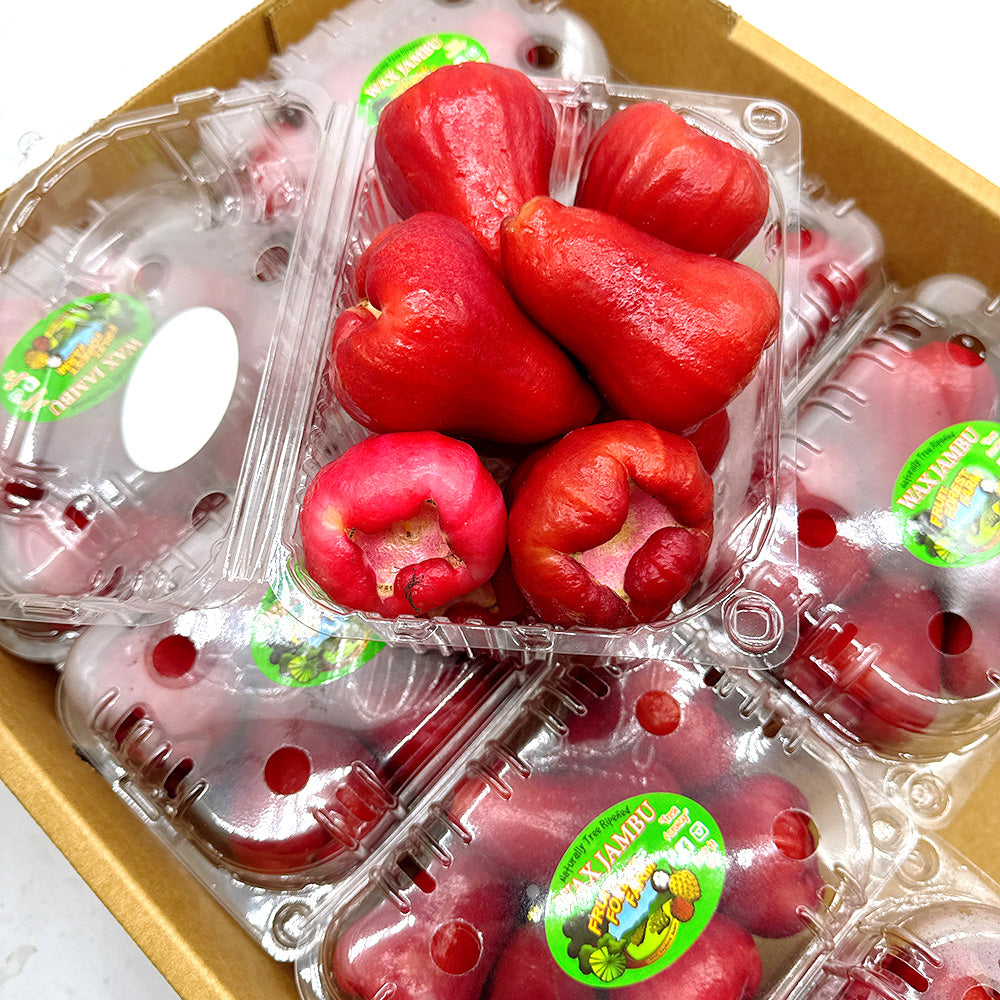 Fresh-Large-Wax-Apples---1-Box,-1kg-1