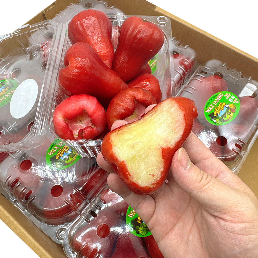 Fresh-Large-Wax-Apples---1-Box,-1kg-1