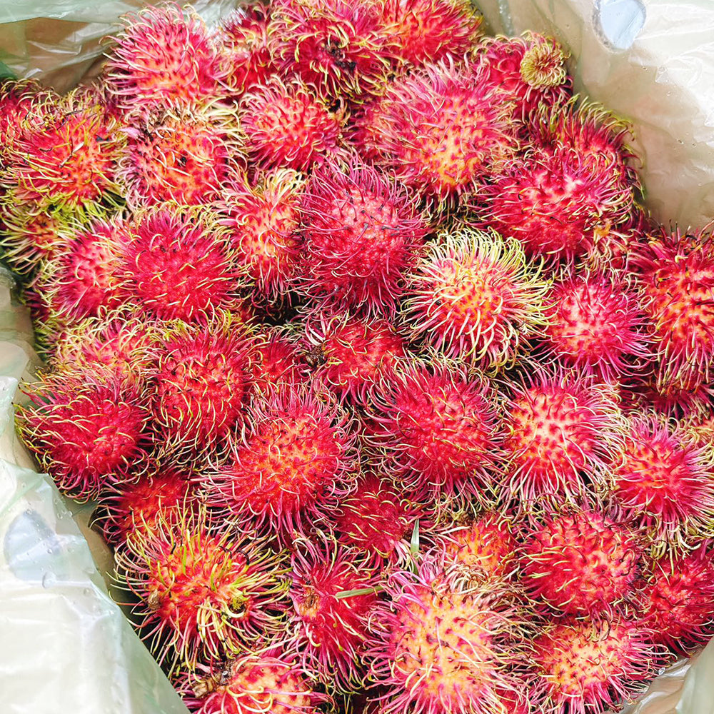 Fresh-Rambutan---500g-1