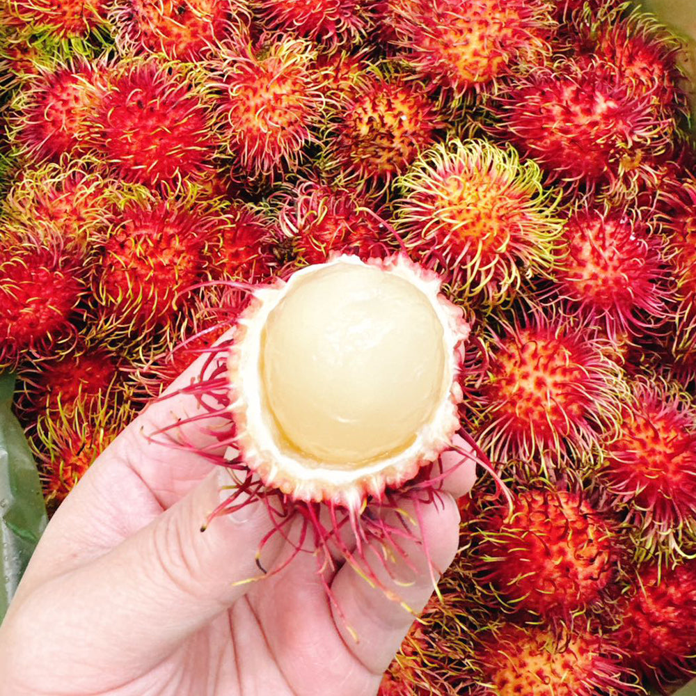 Fresh-Rambutan---500g-1