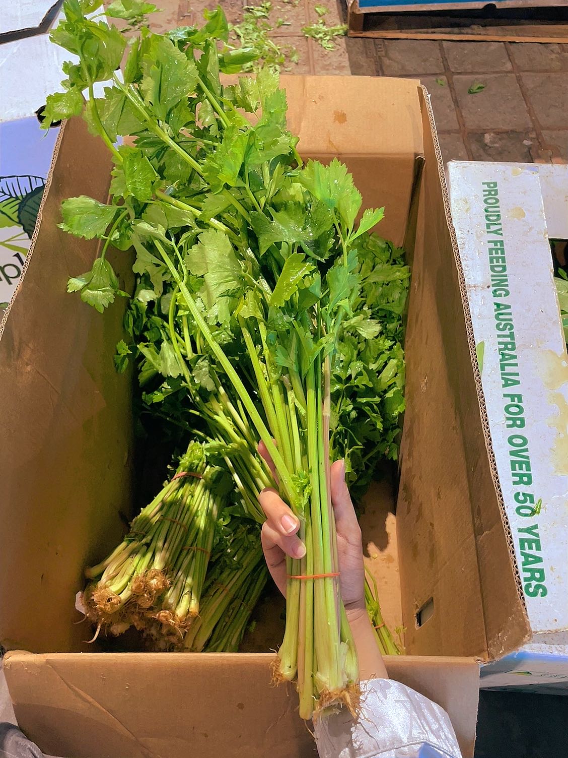 fresh-bunch-of-chinese-celery-1