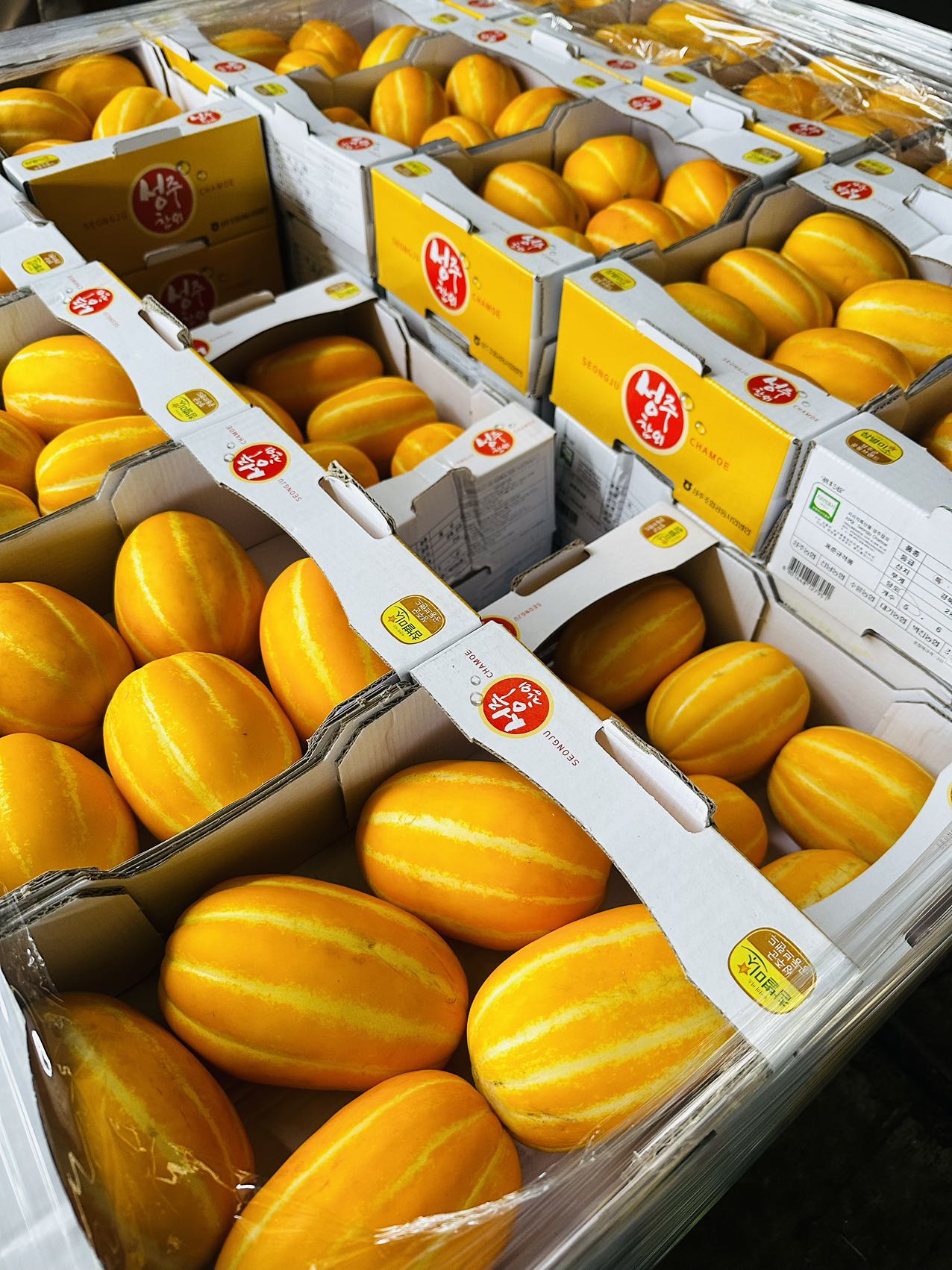 Korean-Sweet-Melons---Box-of-5-6,-Approx.-2kg-1