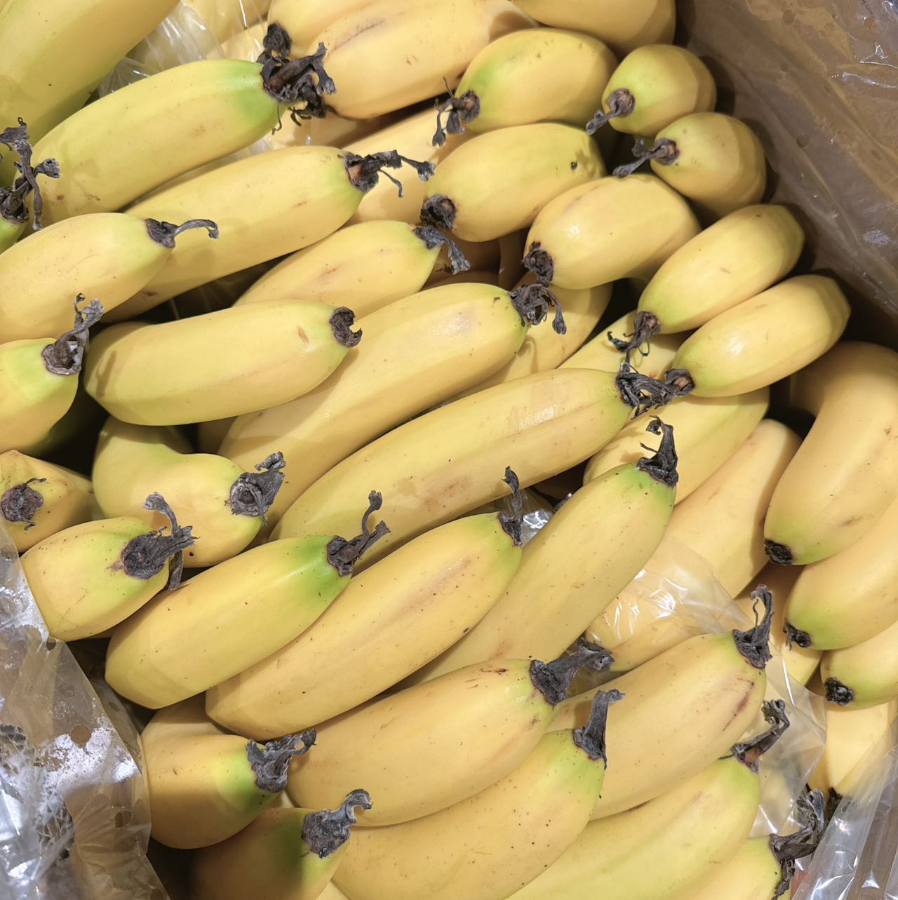 fresh-bananas-approximately-1kg-1