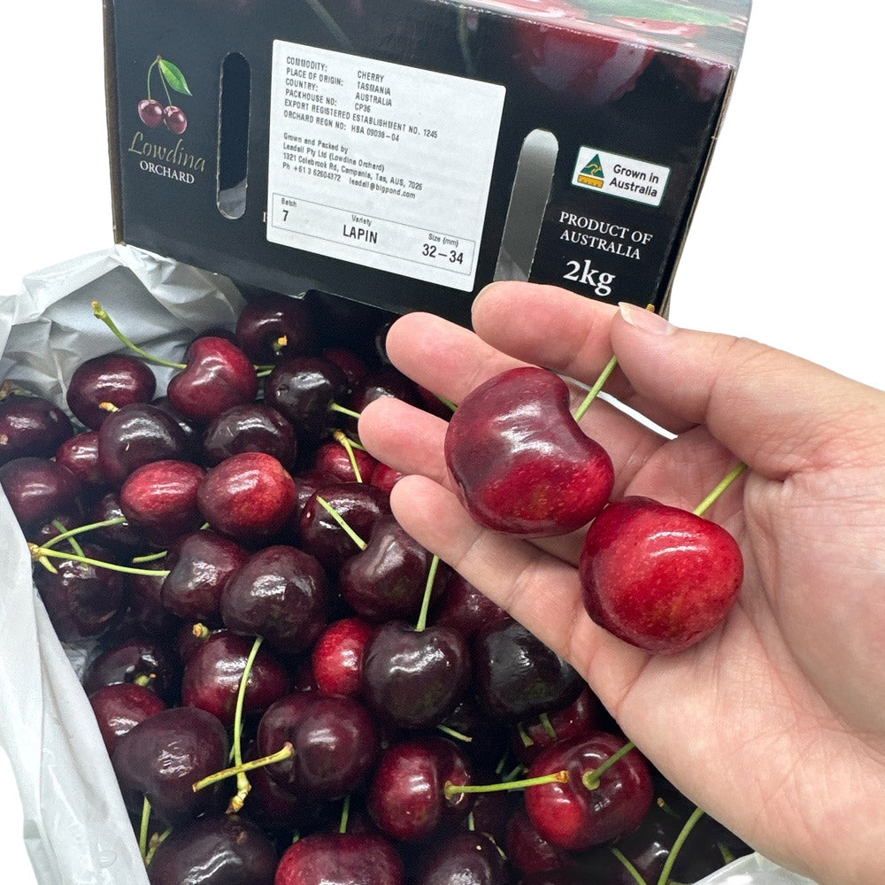 Lowdina-Orchard-Lapin-Cherries-Gift-Box---32-34mm,-2kg-1