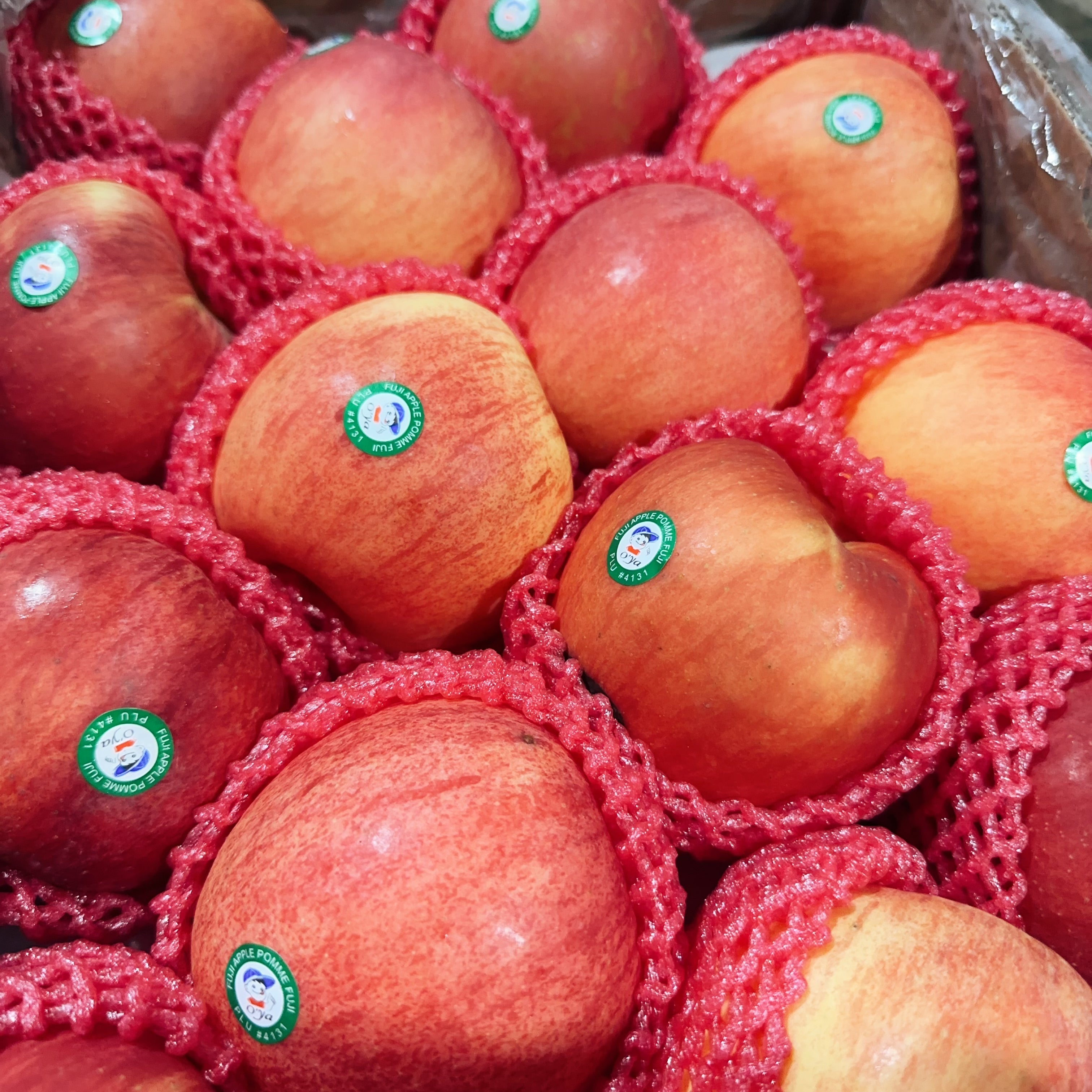 fresh-chinese-red-fuji-apples-approximately-1-1-2kg-1