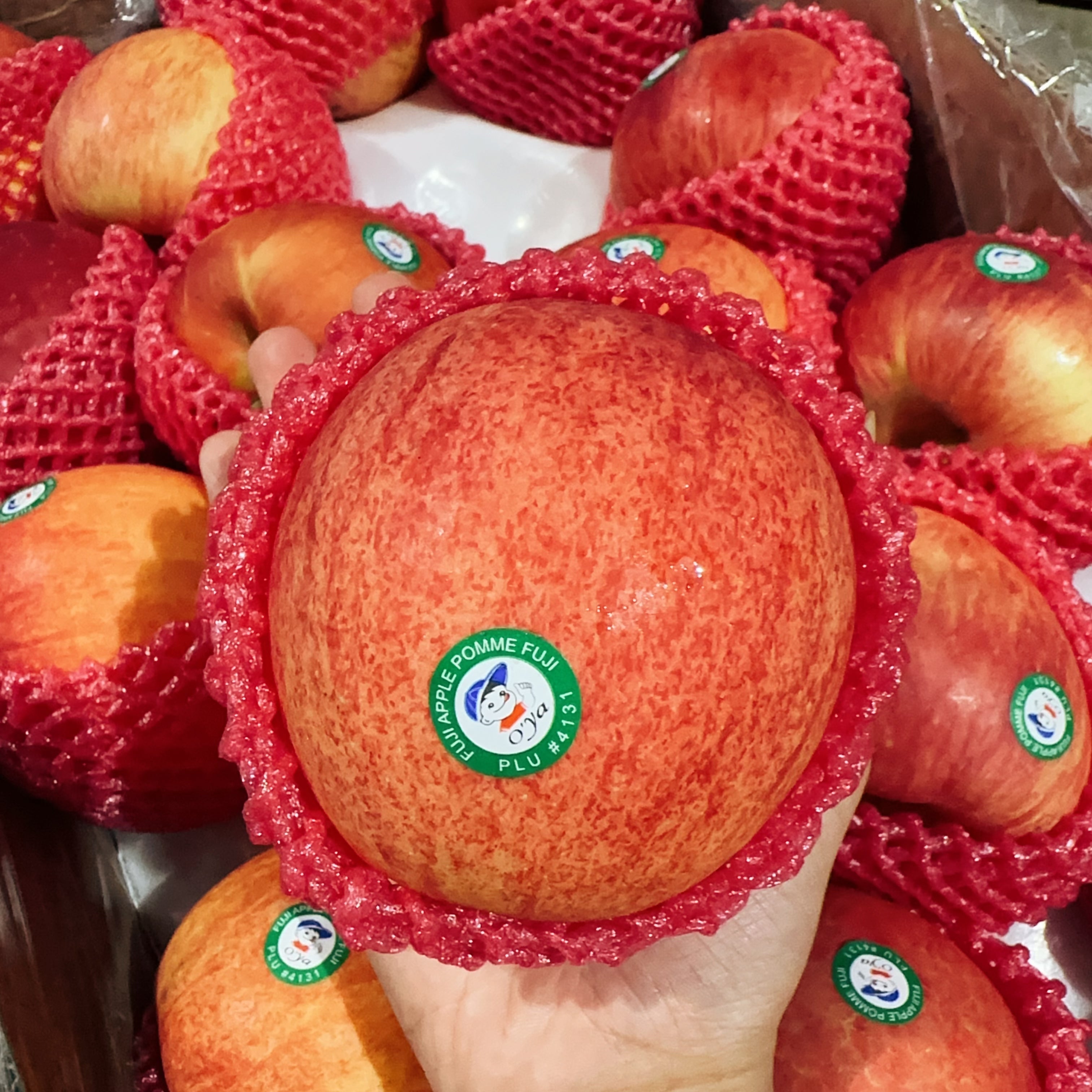 fresh-chinese-red-fuji-apples-approximately-1-1-2kg-1