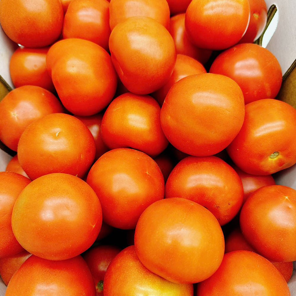 fresh-tomatoes-approximately-1kg-1