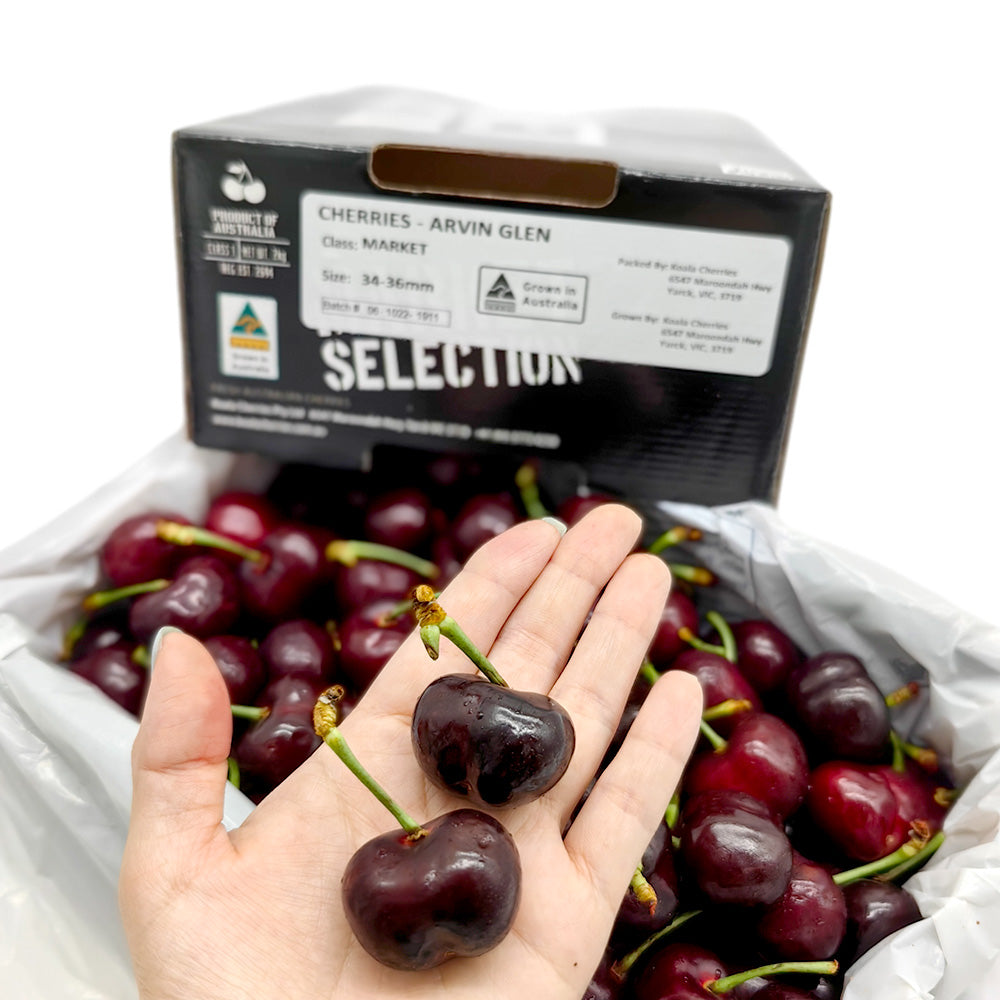 Koala-Cherries-Gift-Box-34-36mm---2kg-1