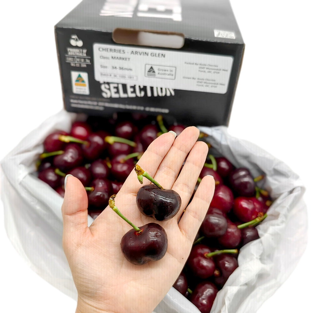 Koala-Cherries-Gift-Box-34-36mm---2kg-1