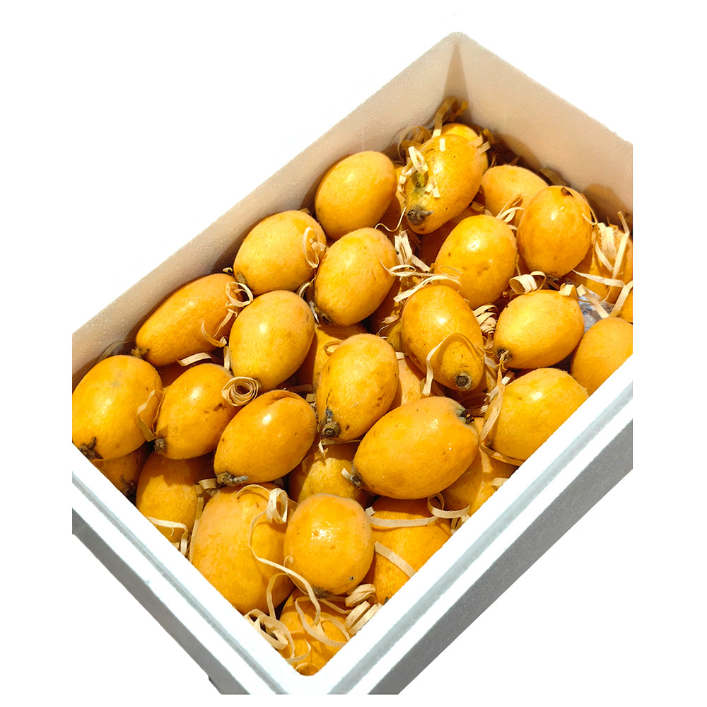 Taylor-Loquat-XL-Gift-Box-2kg-1