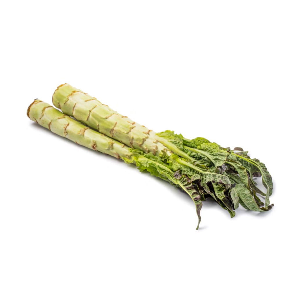 Fresh-Celtuce---2-4-Stalks-1