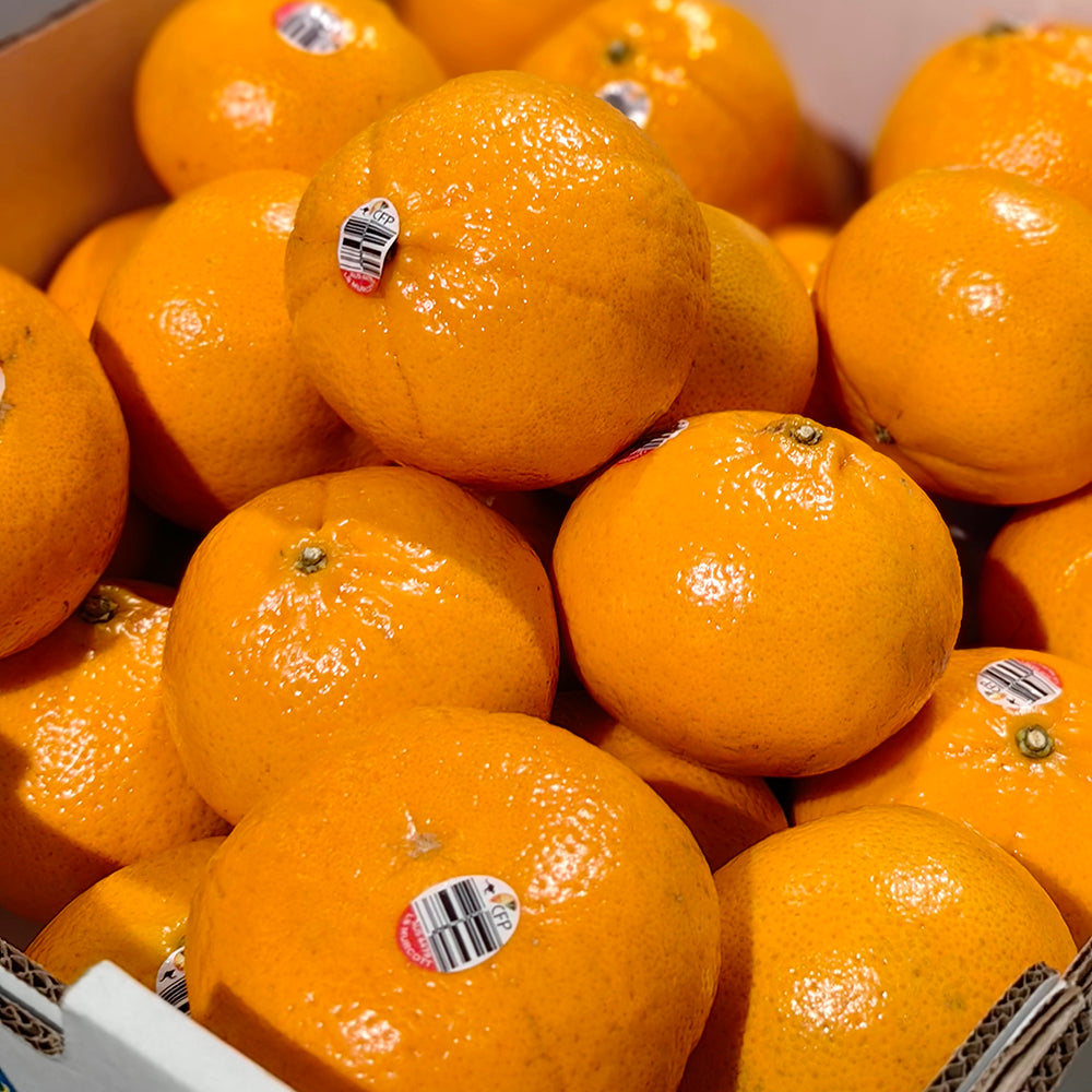 Sweetee-Murcott-Mandarins---Box-of-9kg-1