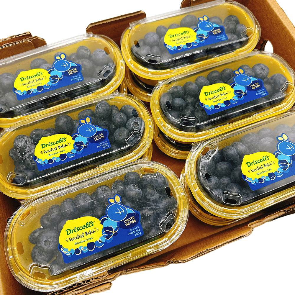 Driscoll's-Blueberries---Box-of-12-Packs-1