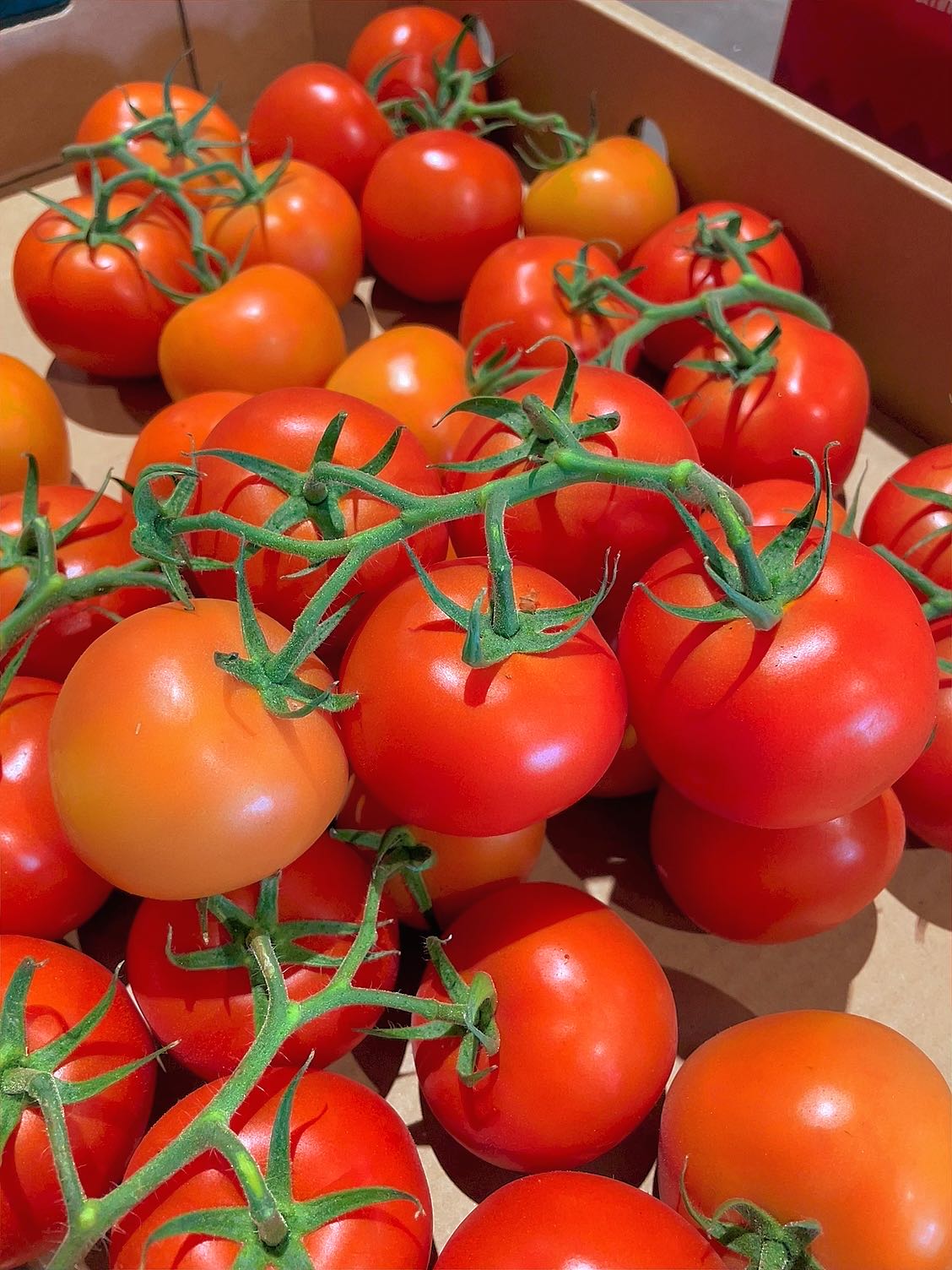 [Fresh]-Vine-Tomatoes-Approximately-1kg-1