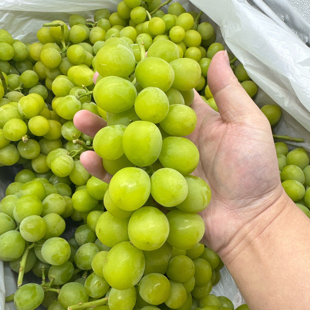 Japanese-Shine-Muscat-Grapes---Australian-Grown,-1kg-1