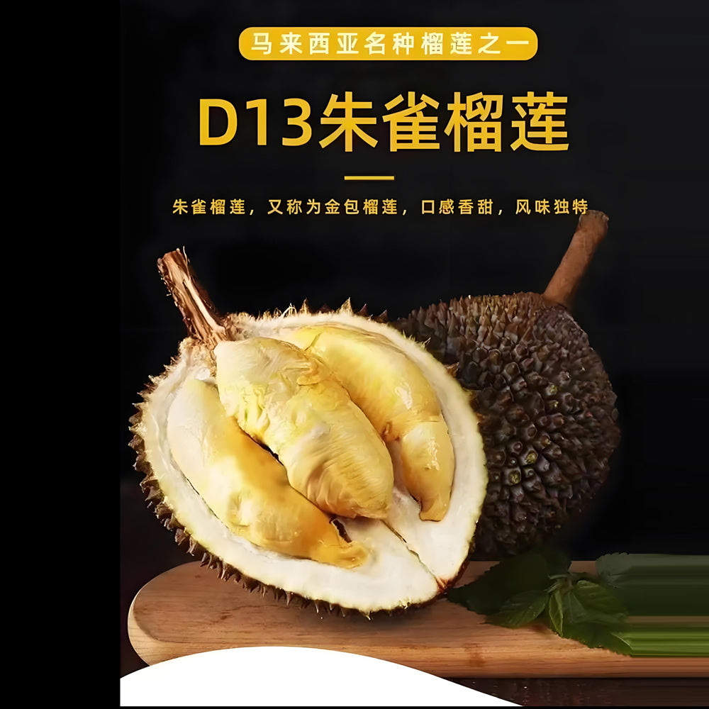 D13-Zhujue-Little-Black-Thorn-Golden-Pillow-Durian-1.4-1.6kg-1