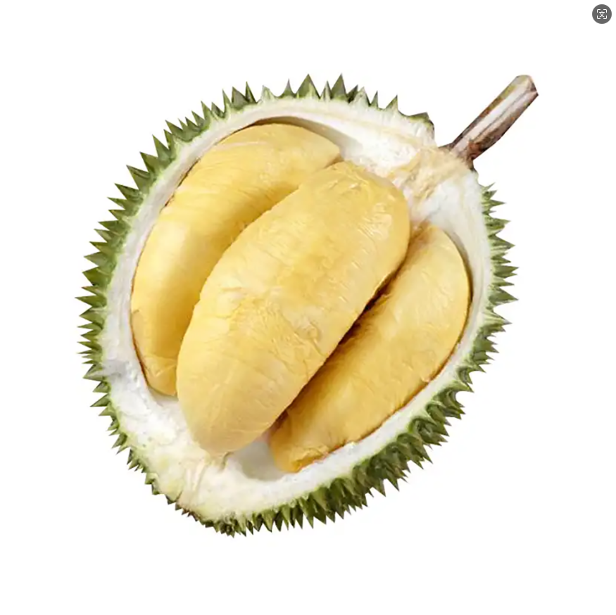 D24-Sultan-King-Durian-1.6-1.8kg-1