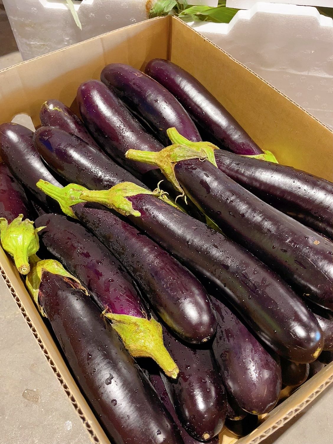 fresh-lebanese-eggplant-approximately-500g-1