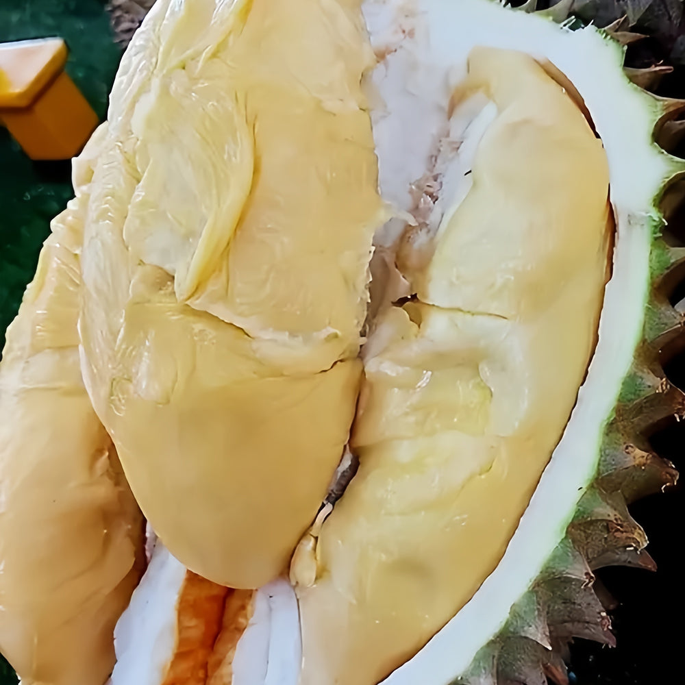 DKING-Premium-Durian-Flesh-400g-1