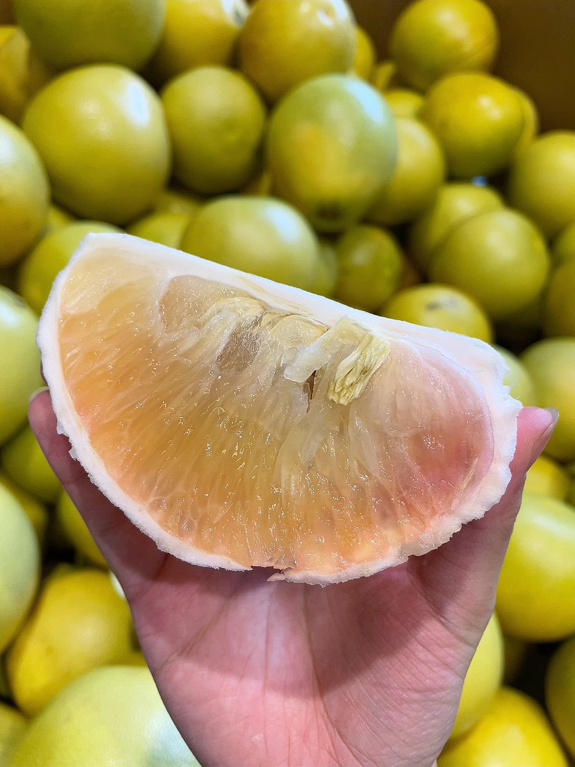 Premium-Honey-Pomelo---1.4-1.7kg-1