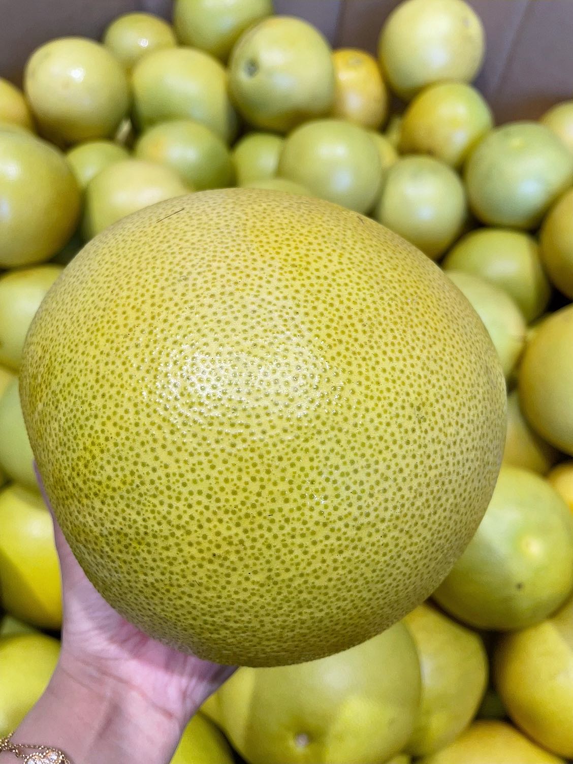 Premium-Honey-Pomelo---1.4-1.7kg-1