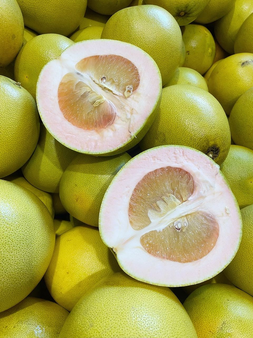 Premium-Honey-Pomelo---0.9-1.2kg-1