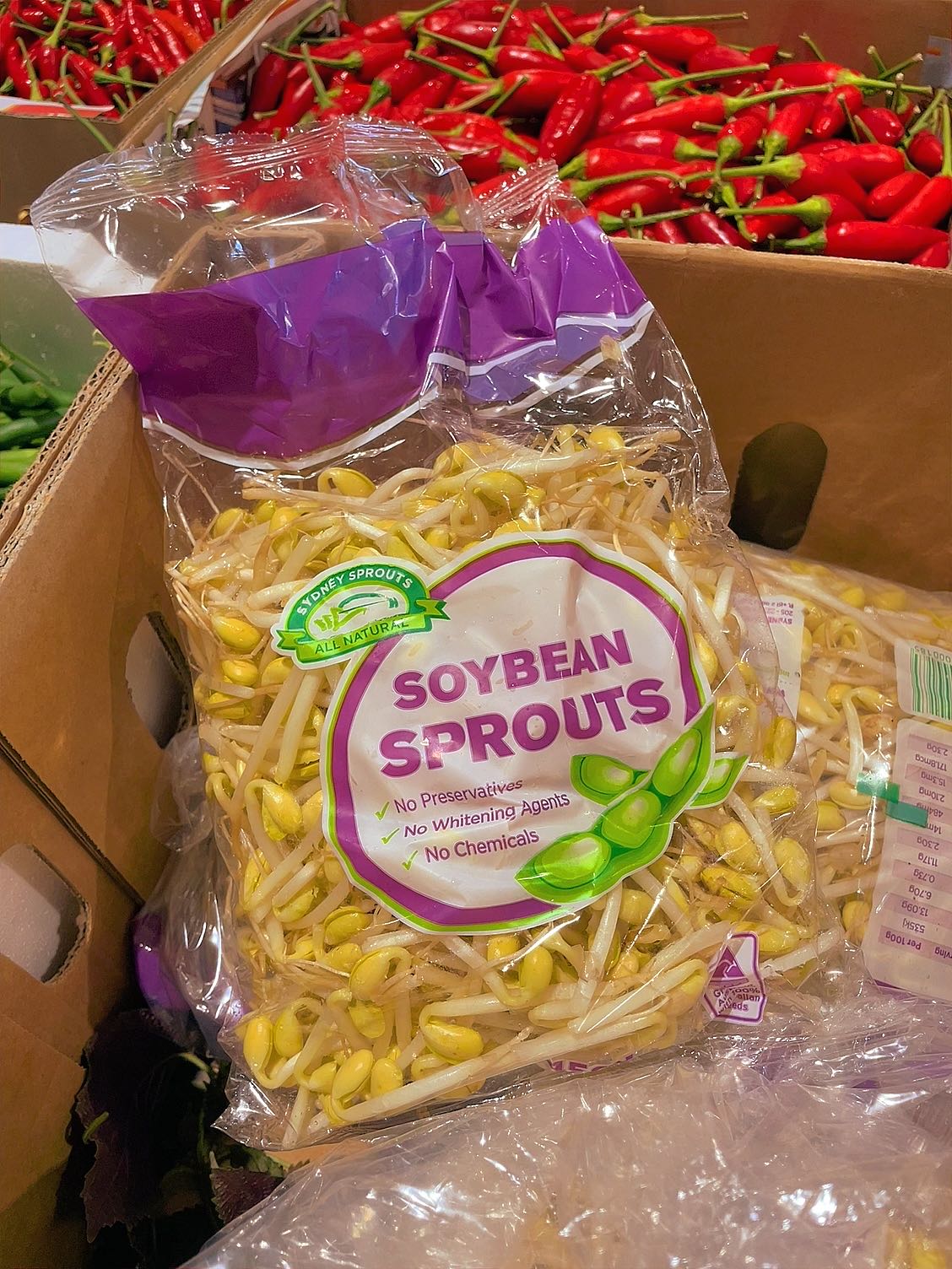 fresh-yellow-soybean-sprouts-approximately-450g-1