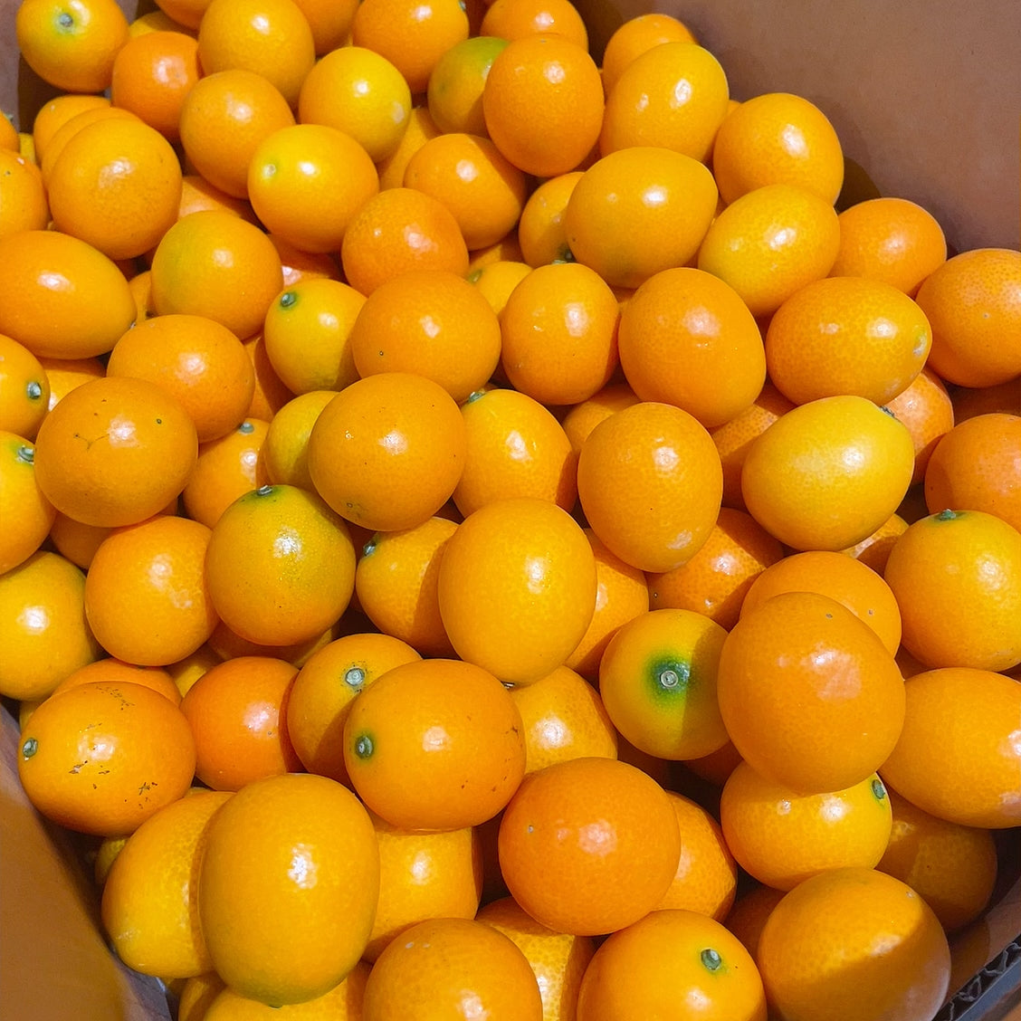 [Fresh]--Super-Sweet-Kumquats,-Approximately-500g-1