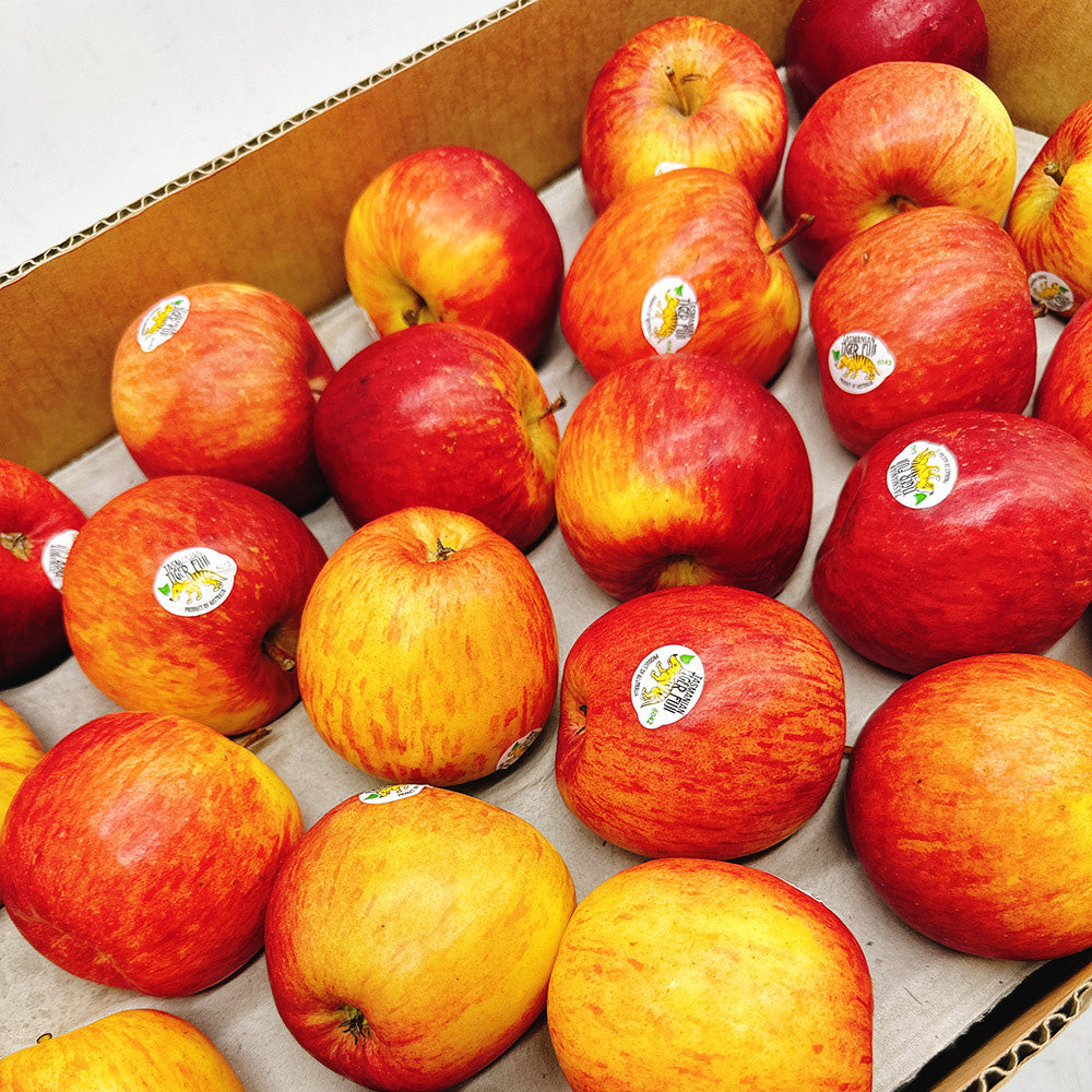 Tasmanian-Tiger-Fuji-Apples---Box-of-12.5kg-1