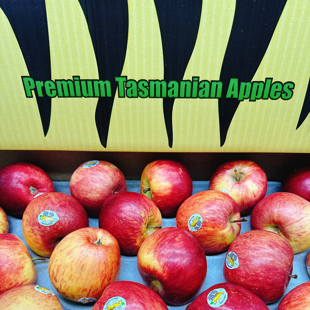 Tasmanian-Tiger-Fuji-Apples---Box-of-12.5kg-1