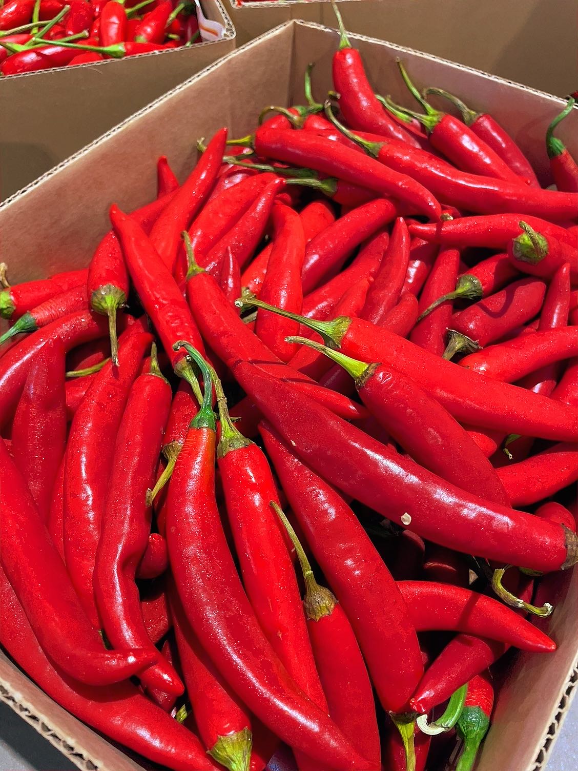 fresh-red-chili-peppers-approximately-250g-1