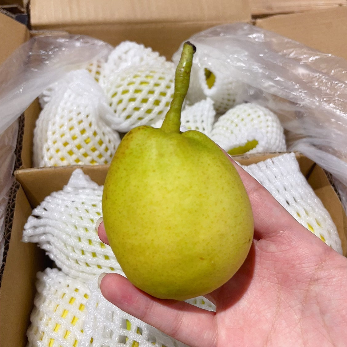 pear-fragrant-chinese-kilogram-1