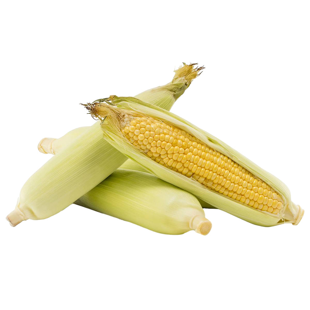 fresh-2-corn-cobs-1