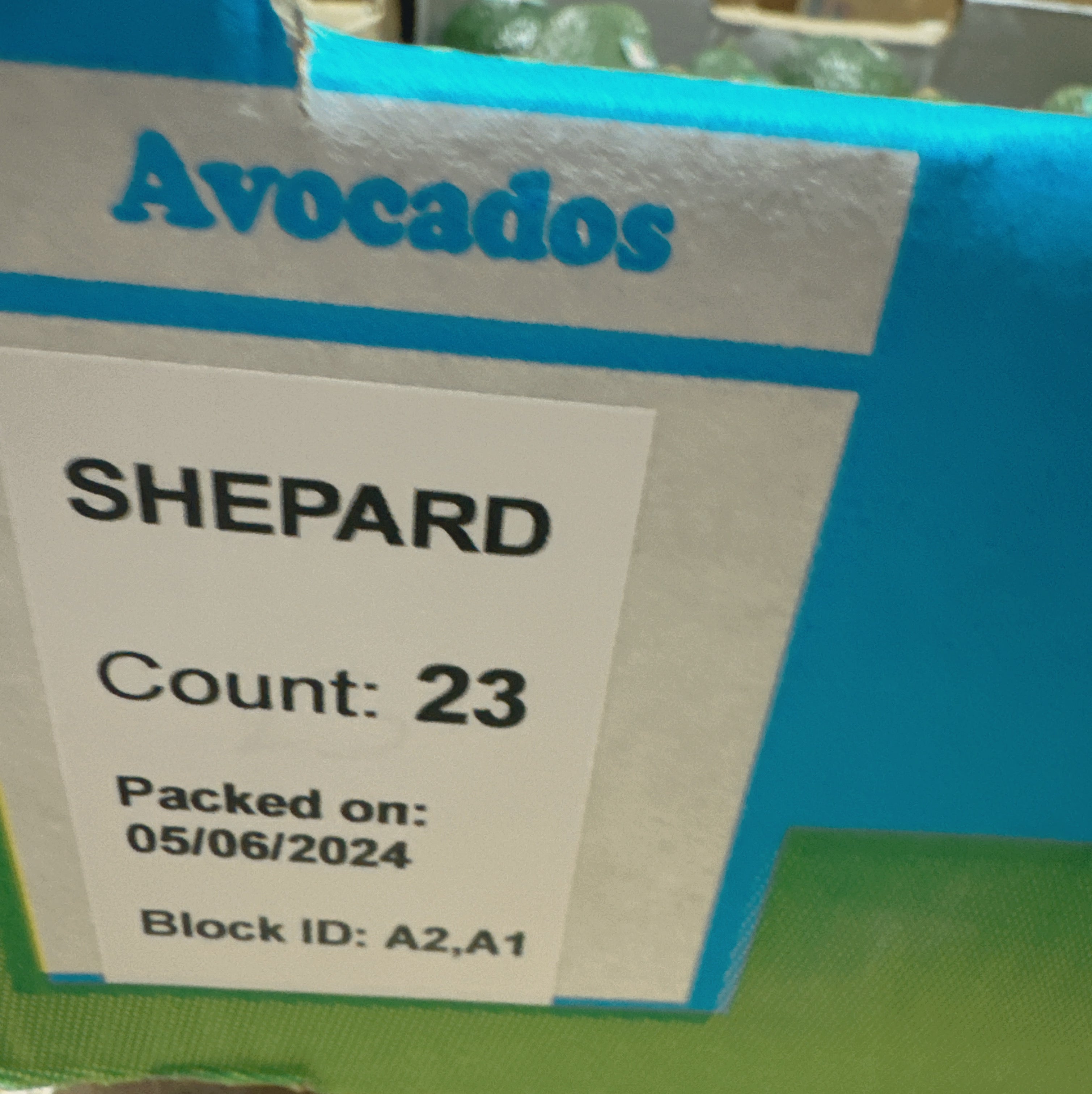 Shepard-Avocados---Box-of-23-25-1