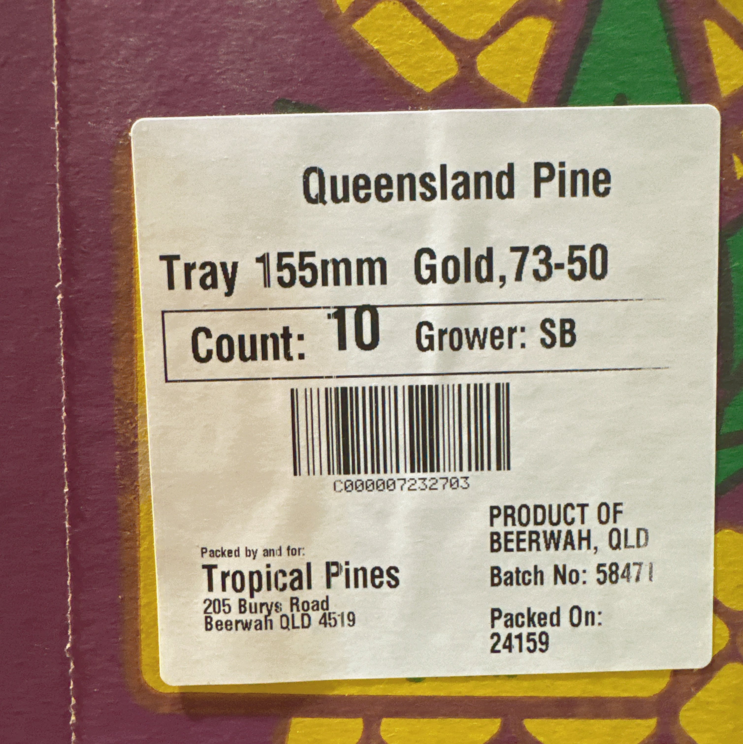 Queensland-Gold-Sweetest-Pineapples---Box-of-7-8-1