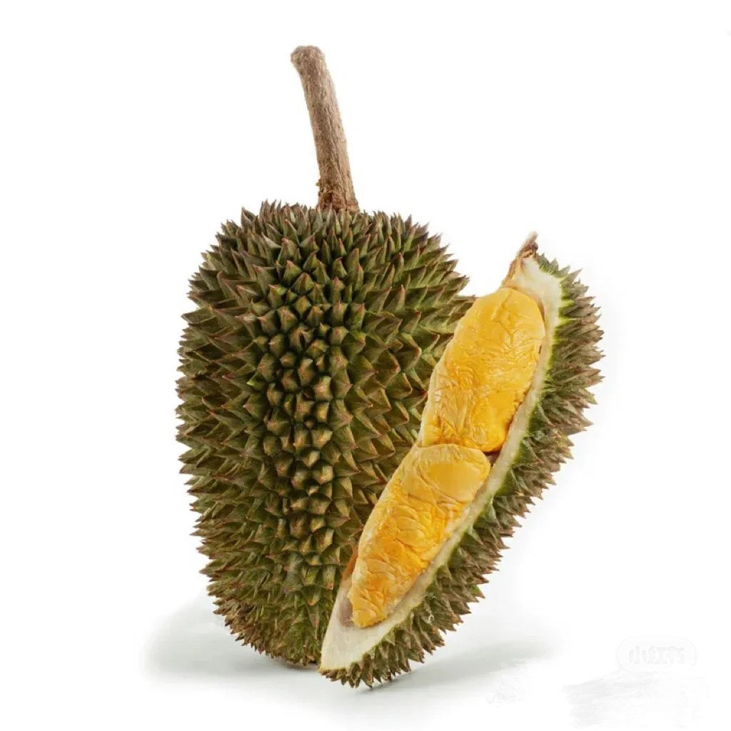 D163-Gourd-Durian-1.8-2kg-1