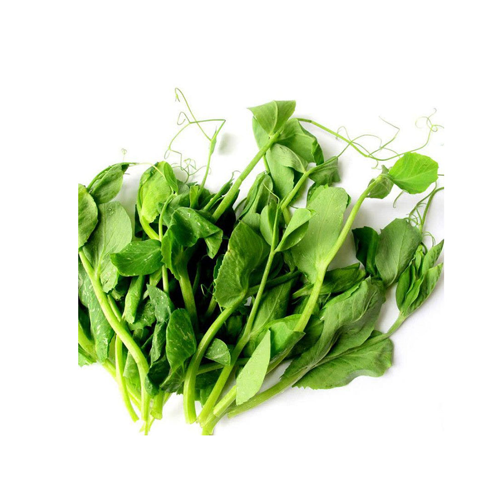 Fresh-Pea-Shoots---500g-1