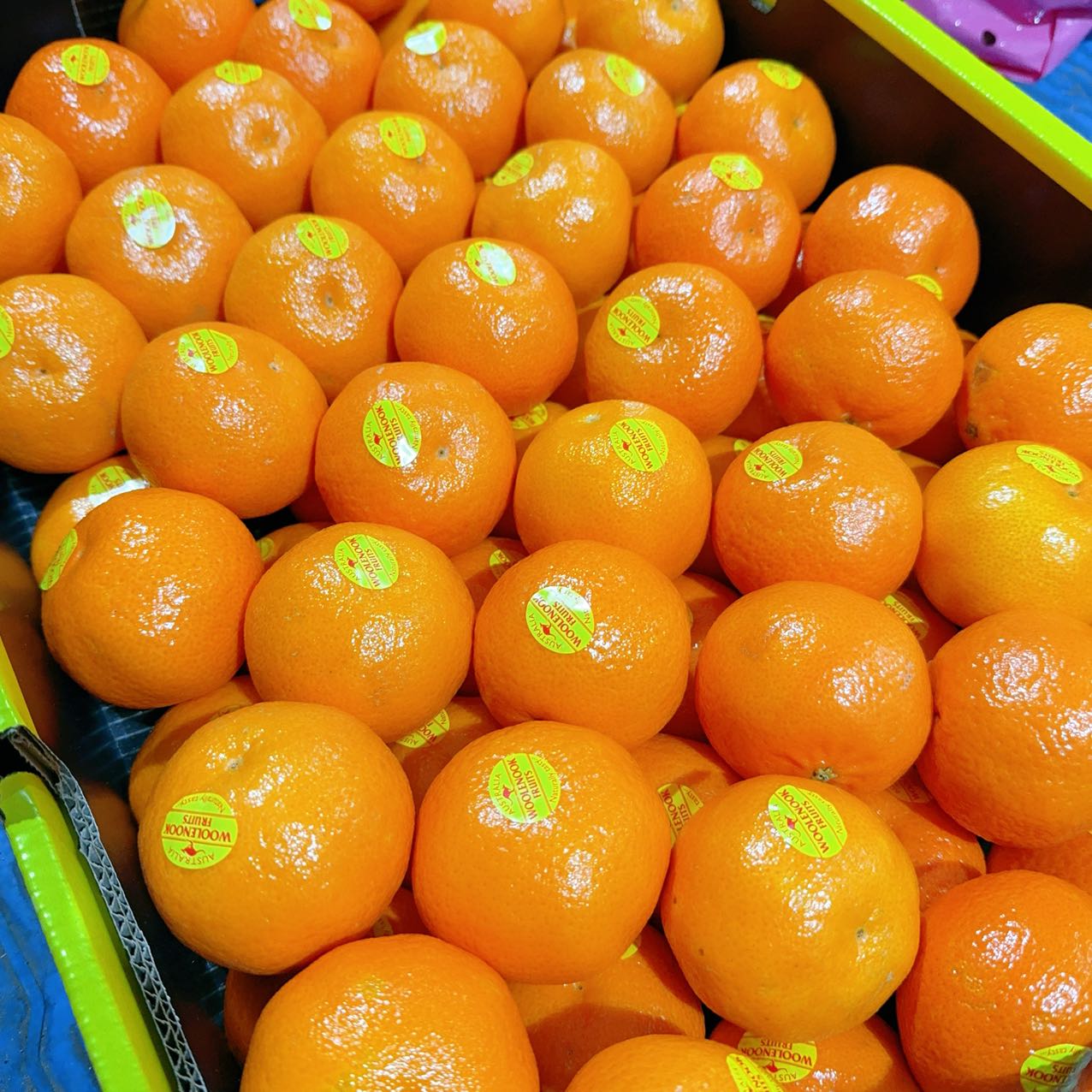 fresh-umall-own-brand-seedless-oranges-approximately-900-1000g-1