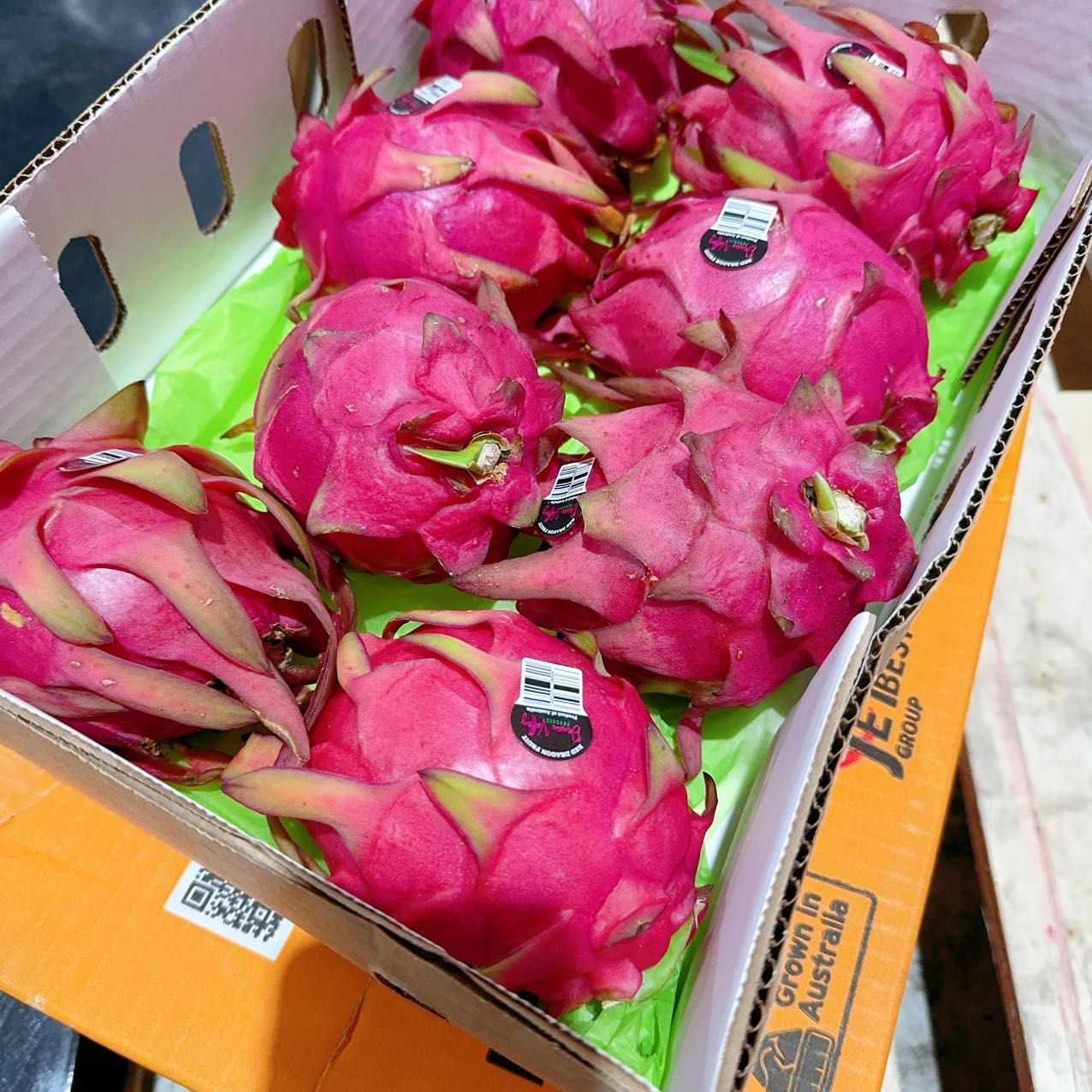 Dragon-Fruit-Red-Each-1