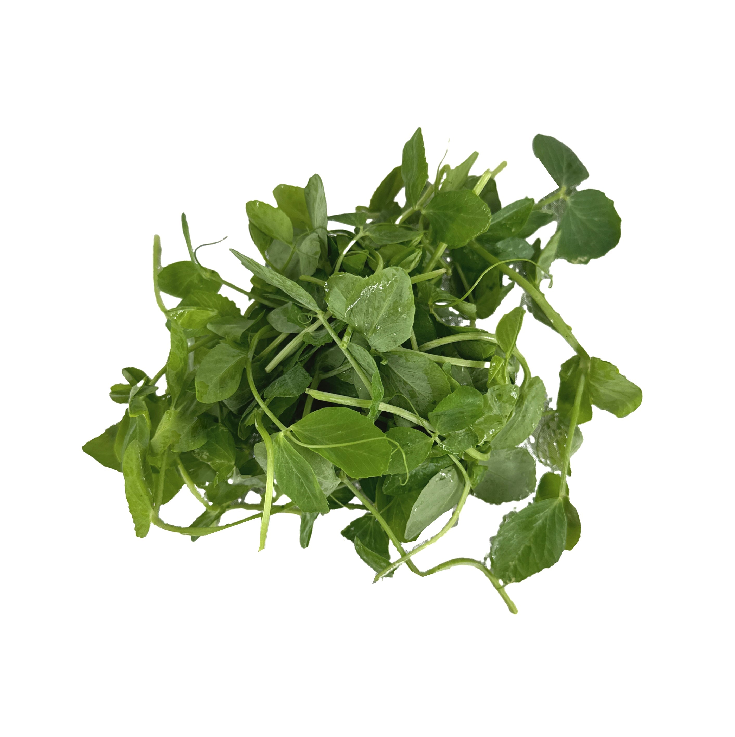 [Fresh]-Pea-Shoots-Approximately-300g-1