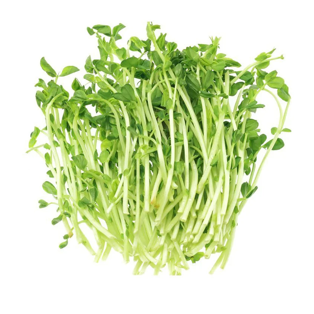 Snow Peas Sprouts (Green) 160g