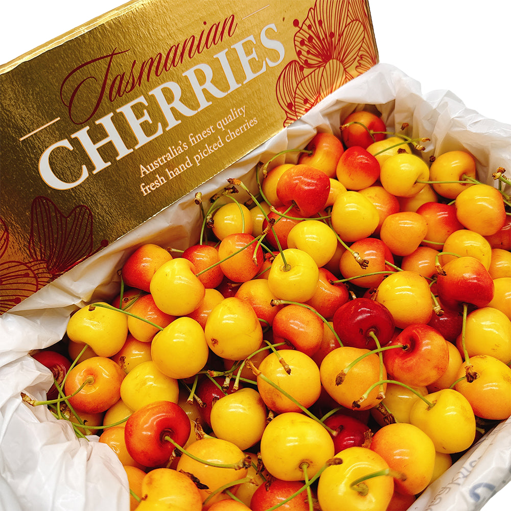 Tasmanian-White-Cherries-Gift-Box---2kg-1