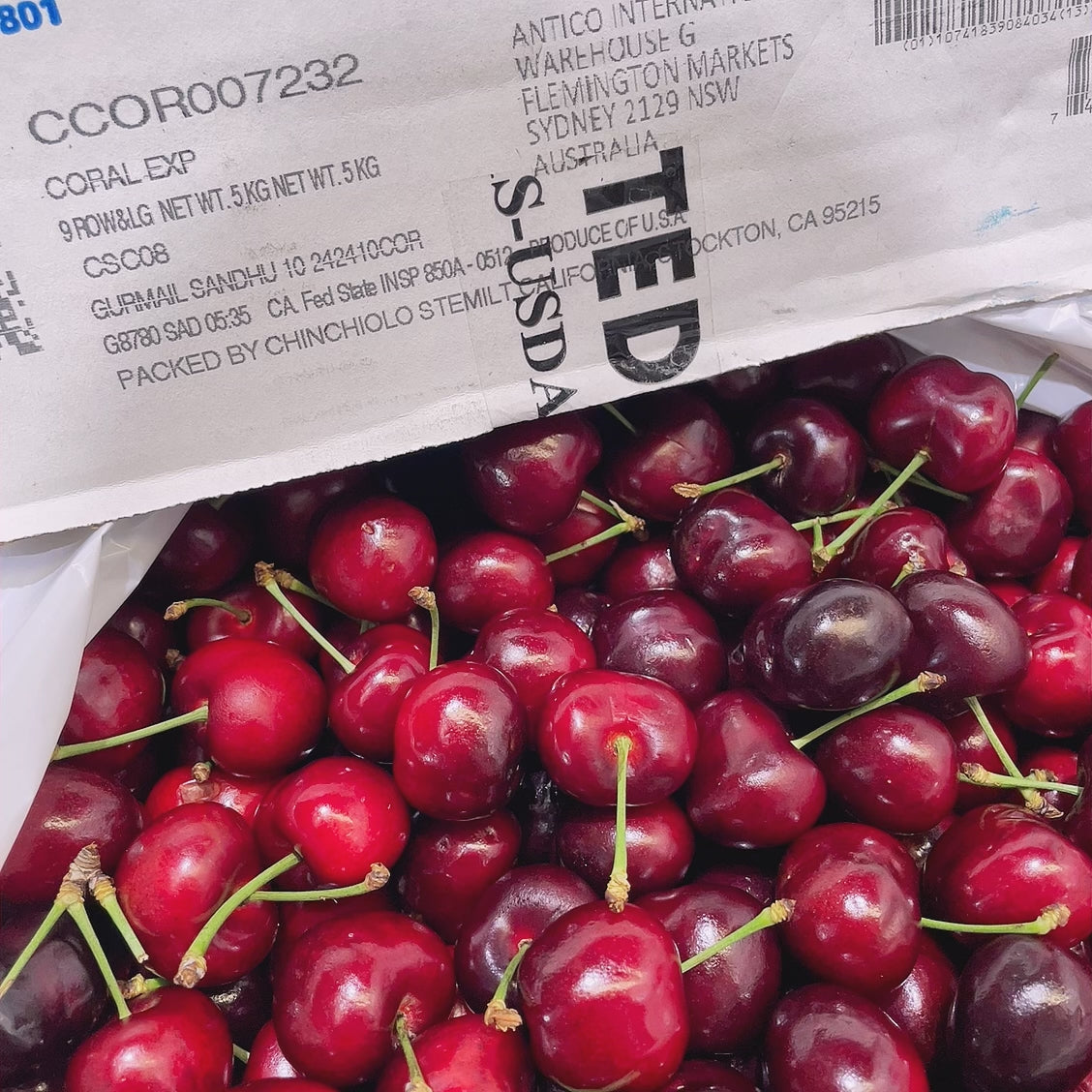 Imported-Stemilt-Beetle-Red-Cherries-from-USA---500g-1