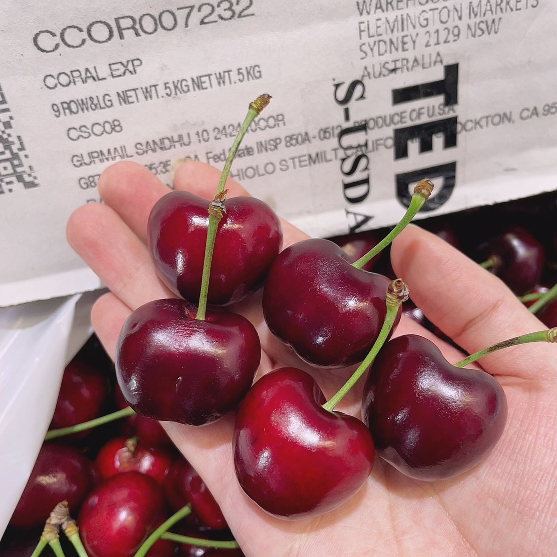 Imported-Stemilt-Beetle-Red-Cherries-from-USA---500g-1