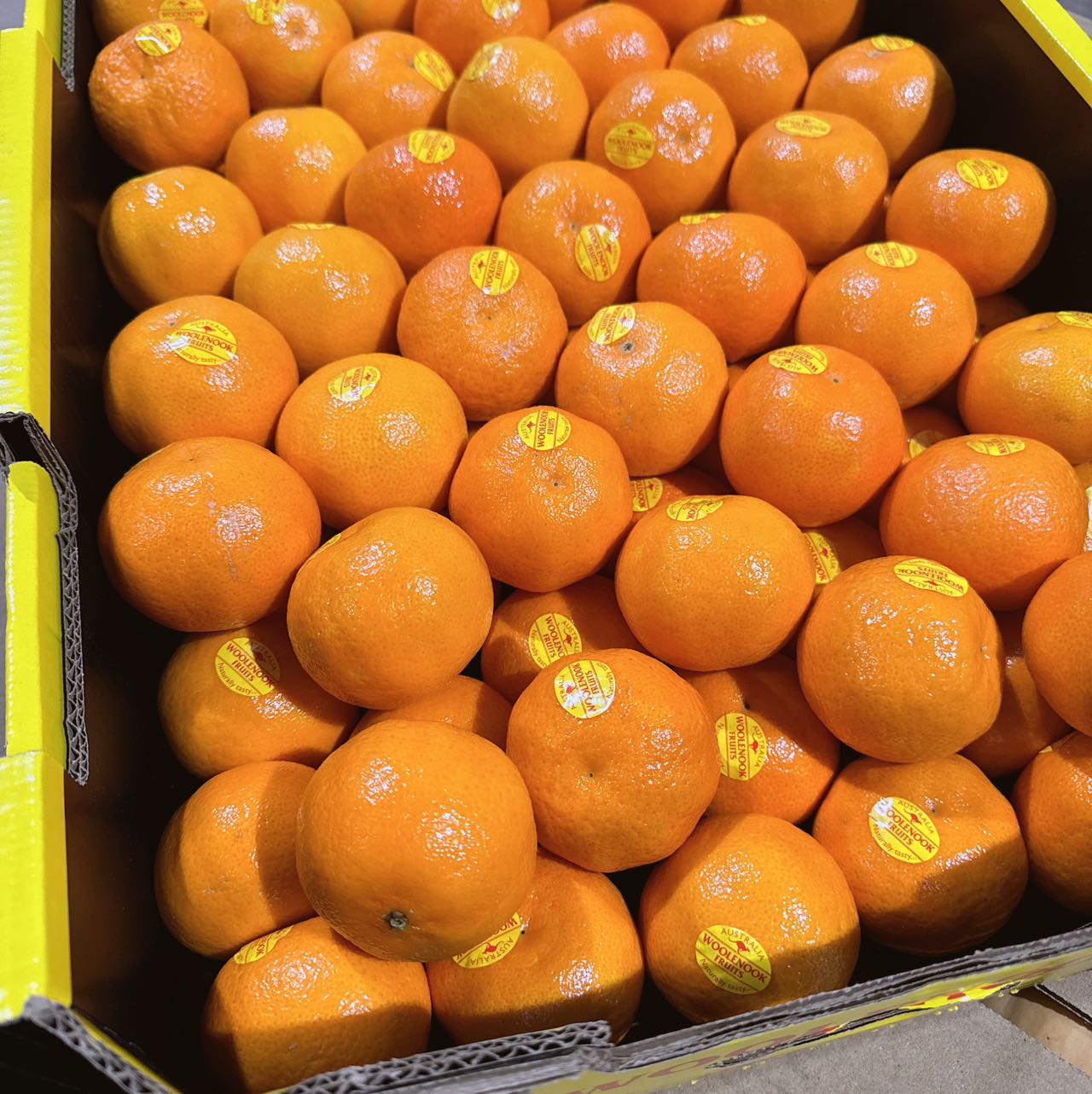 Woolenook-Super-Sweet-Clementines---9kg-Box-1