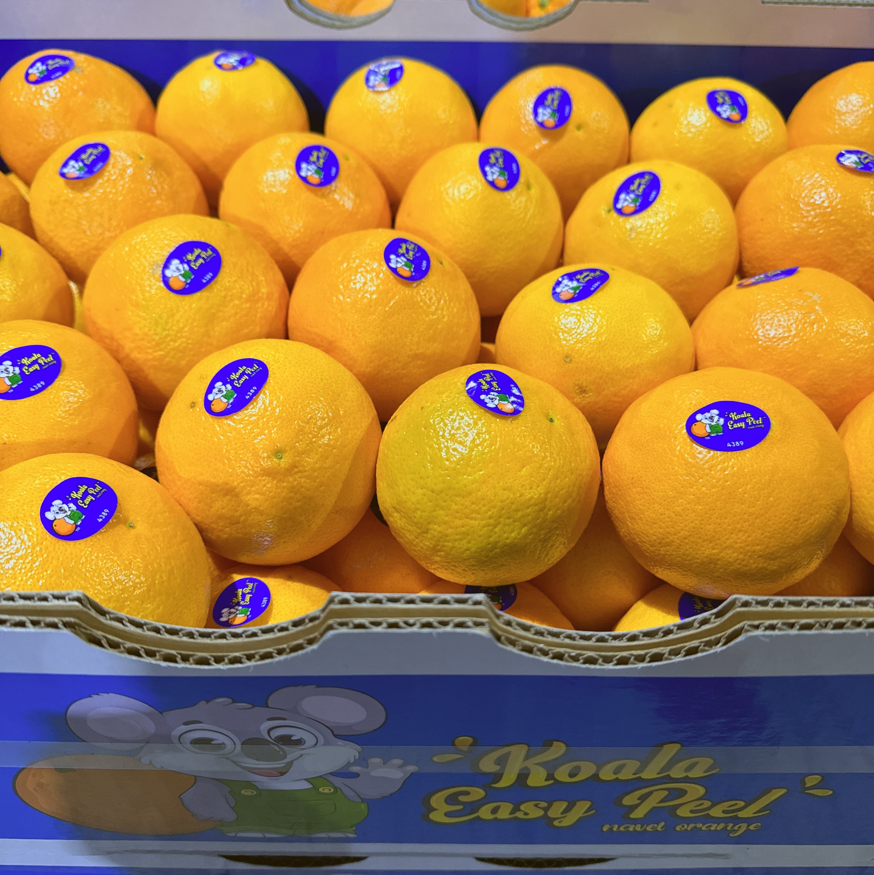 Koala-Easy-Peel-Oranges---15kg-Box-1