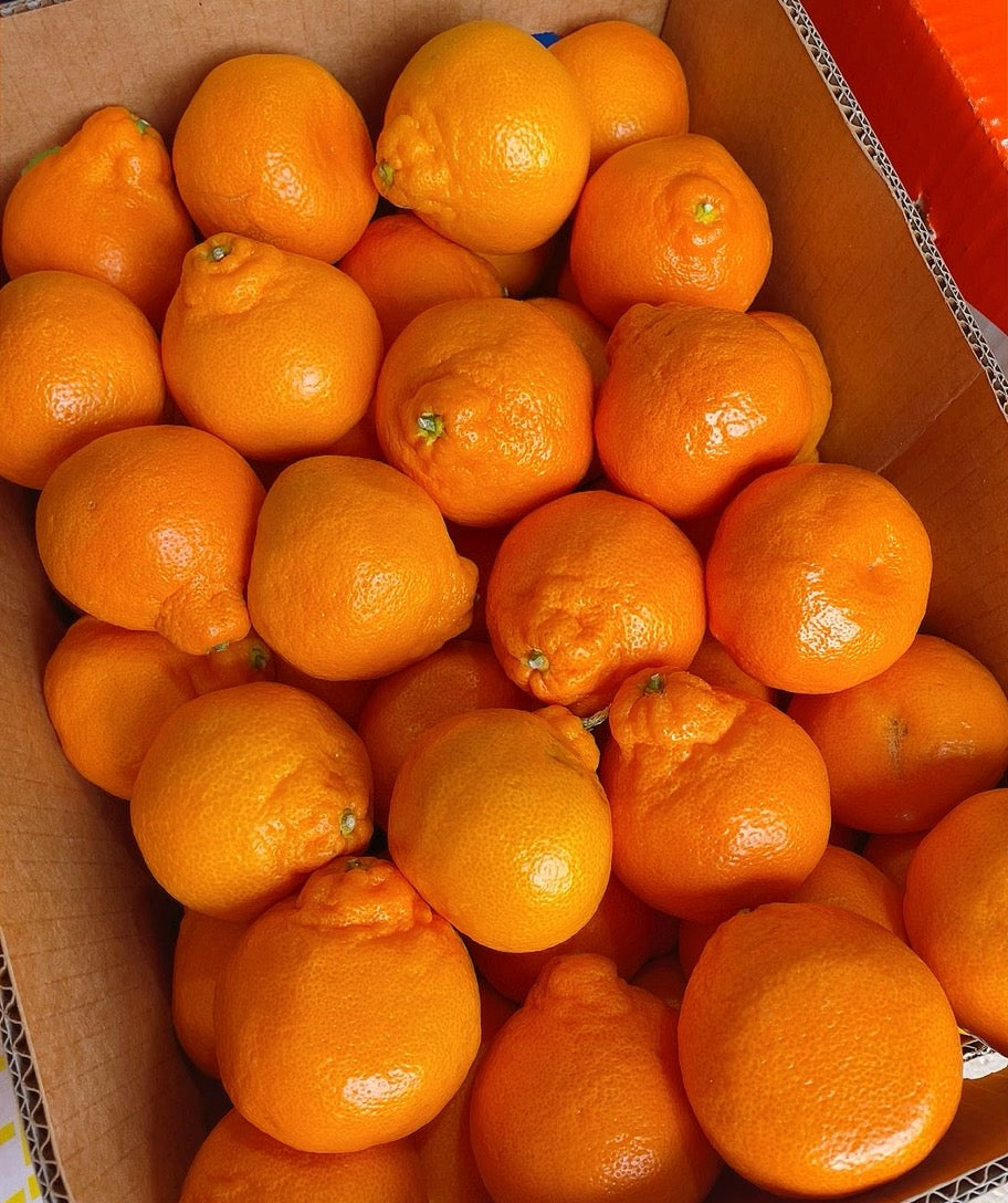 Vitor-Satsuma-Mandarins---9kg-Box-1