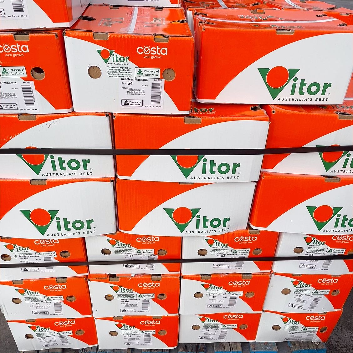 Vitor-Satsuma-Mandarins---9kg-Box-1