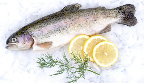 Rainbow Trout Whole 300-400g